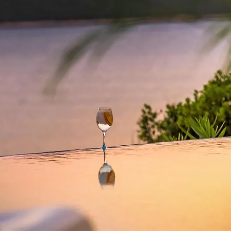 Villa Ragusea With A Private Slano